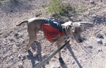 photo thumbnail #9