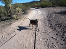photo thumbnail #10