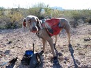 photo thumbnail #11