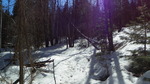photo thumbnail #10