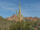 photo thumbnail #5