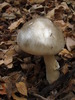 photo thumbnail #10