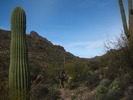 photo thumbnail #14