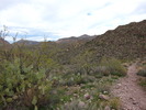 photo thumbnail #2