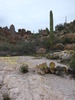 photo thumbnail #10