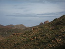 photo thumbnail #11