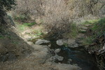 photo thumbnail #11