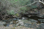 photo thumbnail #12