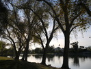 photo thumbnail #1