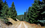 photo thumbnail #4