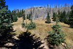 photo thumbnail #8