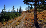 photo thumbnail #10