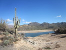 photo thumbnail #6