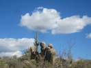 photo thumbnail #9
