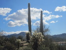 photo thumbnail #11