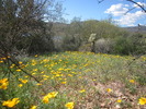 photo thumbnail #12