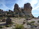 photo thumbnail #6