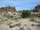 photo thumbnail #7