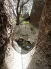 photo thumbnail #13