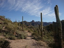 photo thumbnail #1