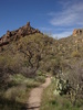 photo thumbnail #5