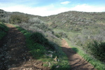 photo thumbnail #4