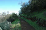 photo thumbnail #9