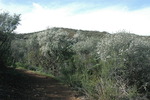 photo thumbnail #11
