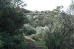 photo thumbnail #12