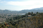 photo thumbnail #14