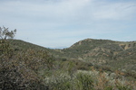 photo thumbnail #15