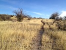 photo thumbnail #2