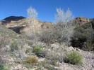 photo thumbnail #13