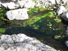 photo thumbnail #14