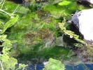 photo thumbnail #15
