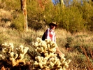 photo thumbnail #2