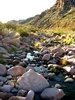 photo thumbnail #14