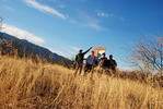 photo thumbnail #2