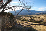 photo thumbnail #3