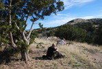 photo thumbnail #5