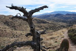 photo thumbnail #12
