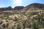 photo thumbnail #15