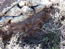 photo thumbnail #6