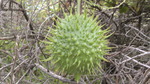 photo thumbnail #8