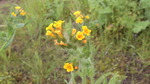 photo thumbnail #13