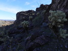 photo thumbnail #5
