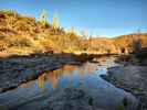 photo thumbnail #15