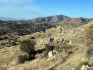 photo thumbnail #3