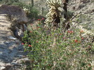 photo thumbnail #9