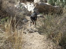 photo thumbnail #10